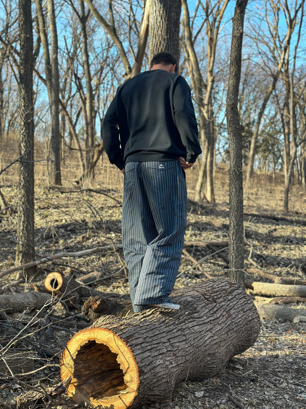 The Pinstripe Pant